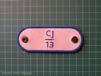 Click to enlarge CJ'13 Participant Woggle